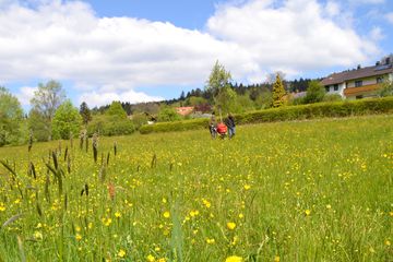 Gesundurlaub in Sankt Englmar