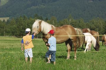 Reiten in Sankt Englmar
