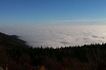 Goldsteigwanderung in Sankt Englmar