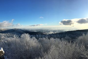 Winterwandern in Sankt Englmar