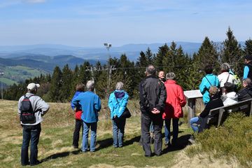 Wildes Waldgebirge
